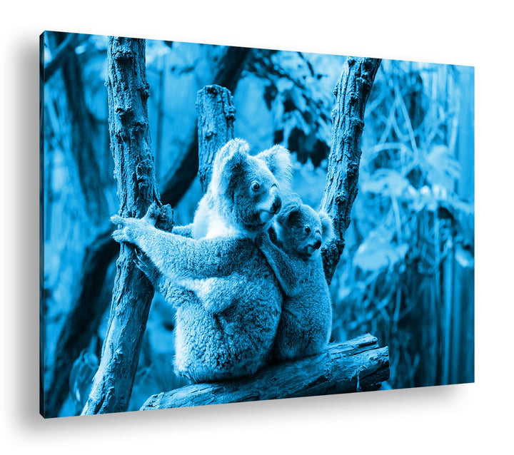 deyoli niedliche Koala Mutter mit ihrem Kind Format 80x60 Effekt: Monocrome Blau als Leinwandbild, M