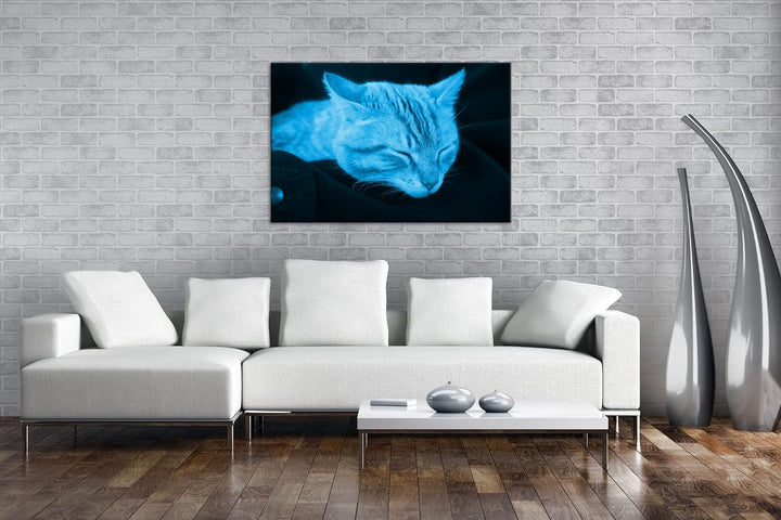 deyoli goldig schlafende Katze Format 80x60 Effekt: Monocrome Blau als Leinwandbild, Motiv fertig ge