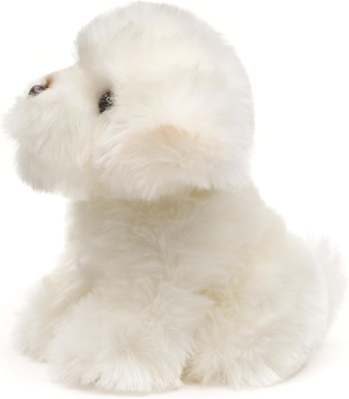 Uni-Toys - Malteser - 18 cm (Höhe) - Plüsch-Hund, Haustier - Plüschtier, Kuscheltier Malteser (18 Cm