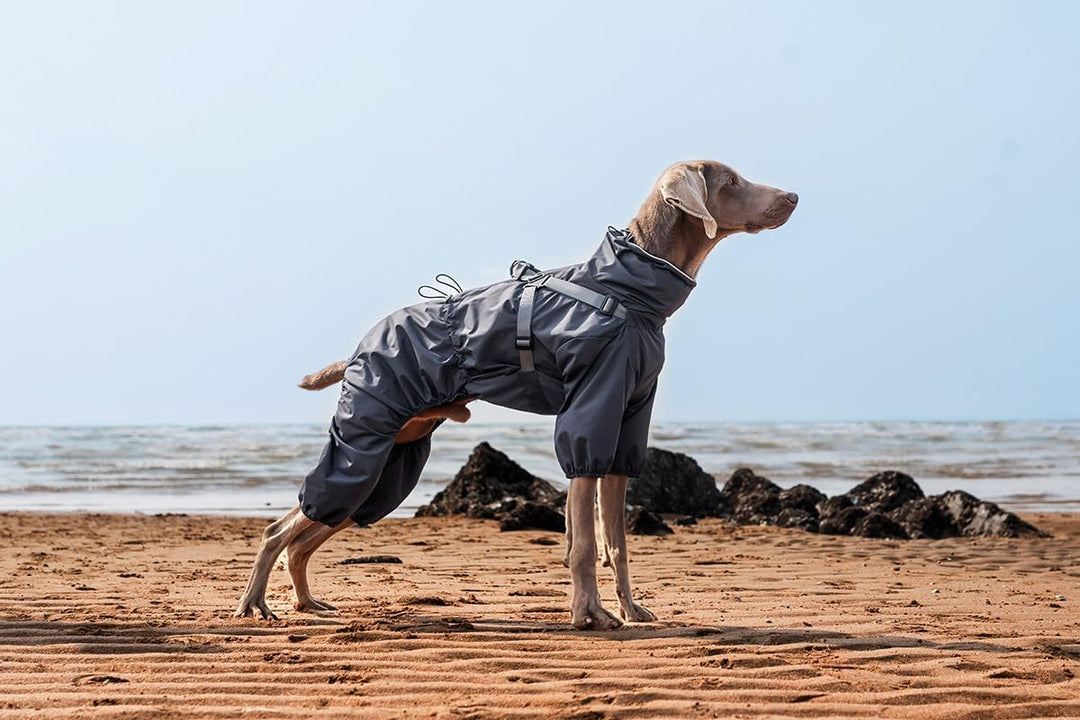 Hundegeschirr, Regenmantel, verstellbar, 4 Beine, Hundejacke mit Geschirr, reflektierender Overall,