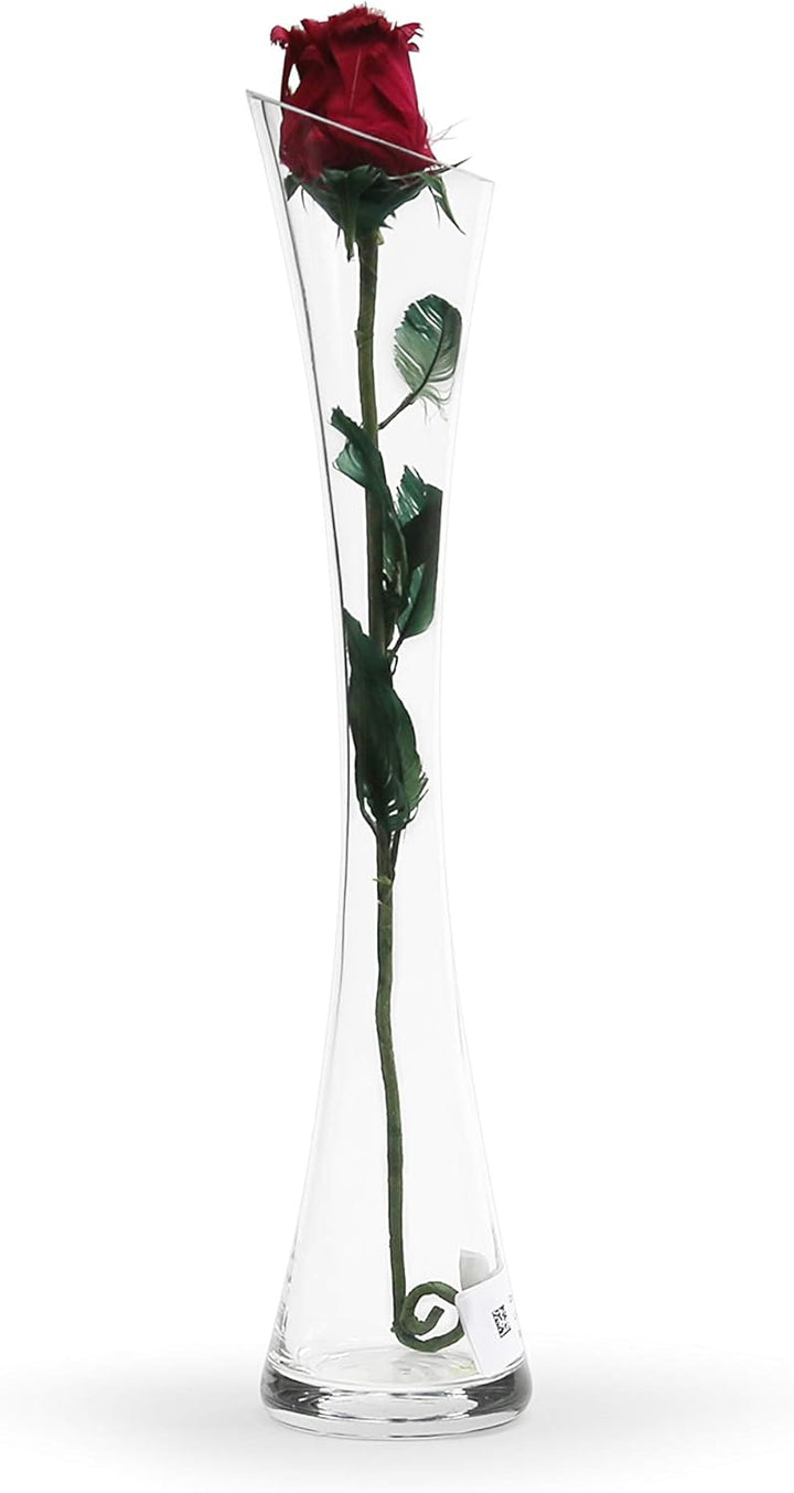 WGV Bud Vase, Höhe 40,6 x 36,8 cm, schräg Geschnittener offener Schnitt, 7,6 cm, klare Maria Glasvas