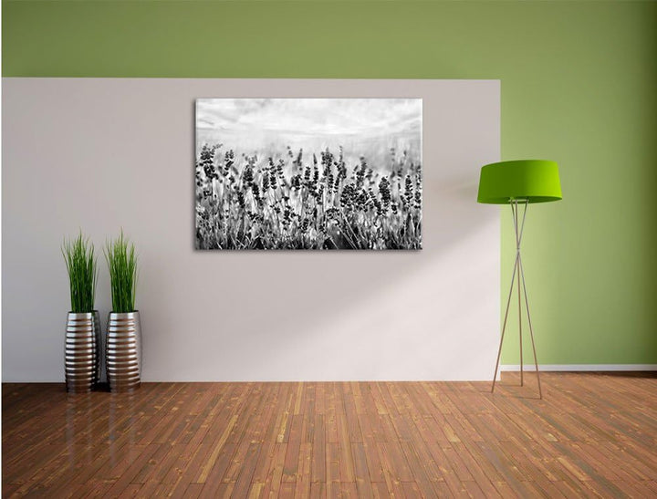 Pixxprint Schöner Lavendel im Regen als Leinwandbild/Grösse: 100x70 / Wandbild/Kunstdruck/fertig bes