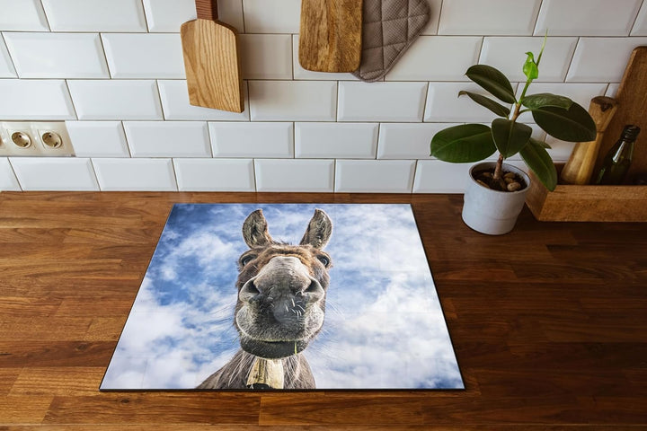 Lustiger Esel Herdabdeckplatte & Spritzschutz aus Echtglas | Für Herd-Kochfelder | 60x52 cm