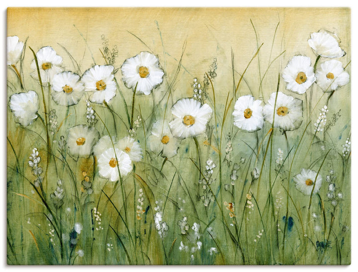 ARTland Leinwandbilder Wandbild Bild auf Leinwand 80 x 60 cm Wanddeko Botanik Blumen Gänseblümchen M