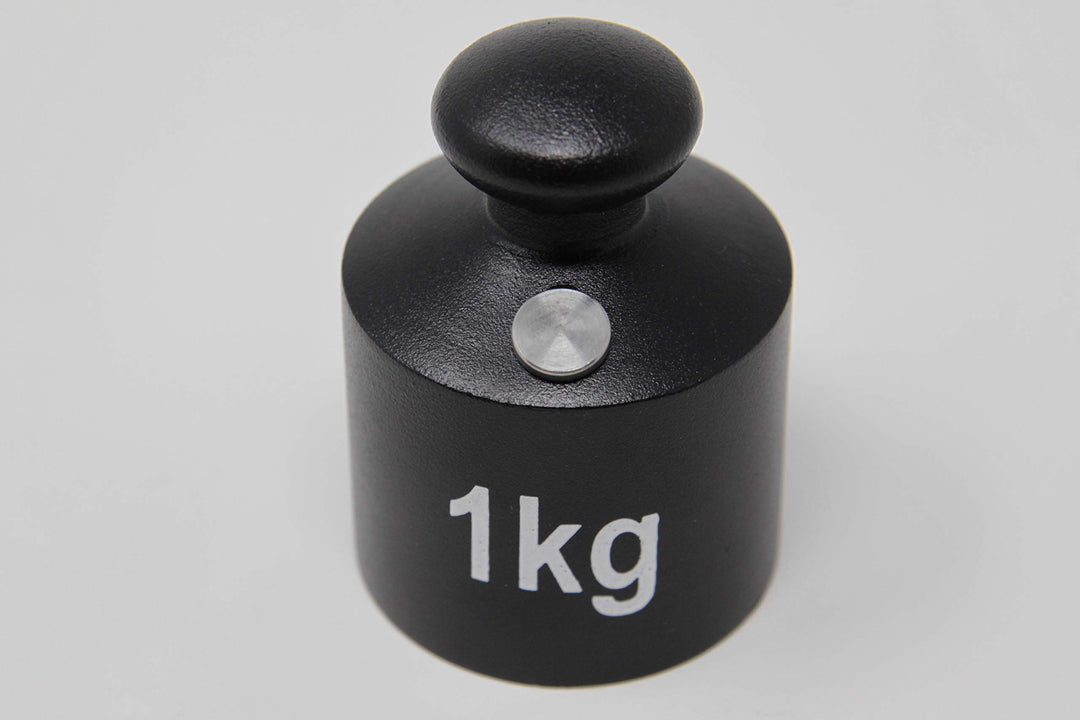 WISSNER aktiv lernen - Gewicht Gusseisen 1kg 1000 Grams, 1000 Grams