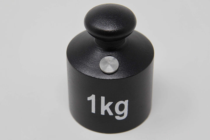 WISSNER aktiv lernen - Gewicht Gusseisen 1kg 1000 Grams, 1000 Grams