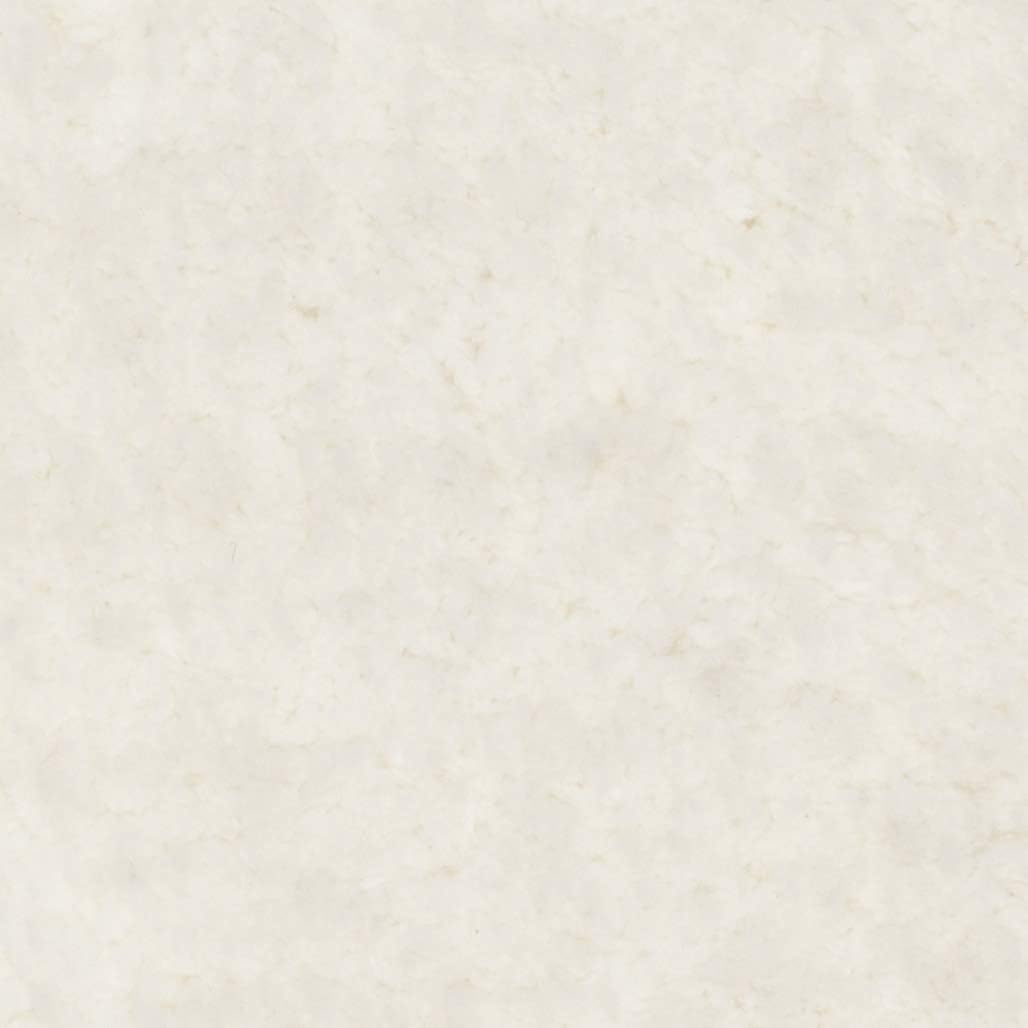 SAFAVIEH Zottelig Teppich für Wohnzimmer, Esszimmer, Schlafzimmer - Artic Shag Collection, Hoher Flo