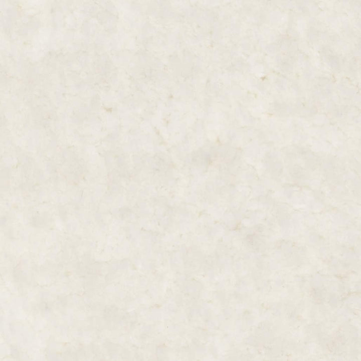 SAFAVIEH Zottelig Teppich für Wohnzimmer, Esszimmer, Schlafzimmer - Artic Shag Collection, Hoher Flo