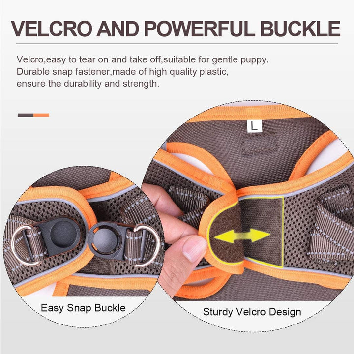 Suredoo Hundegeschirr mit Leine Anti Zug Geschirr Reflektierend Brustgeschirr für Kleine Hunde, Haus