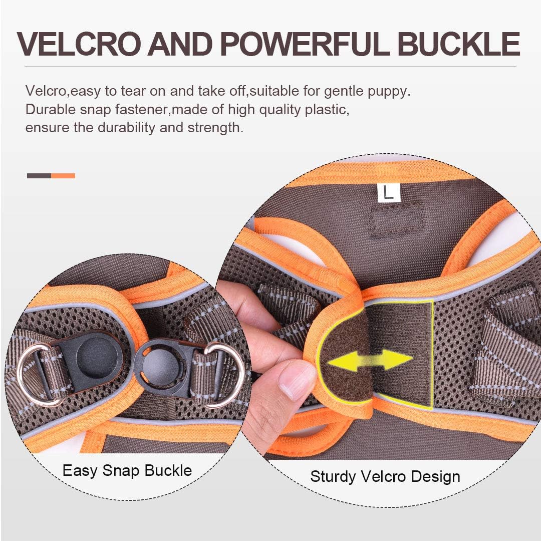 Hundegeschirr mit Leine, Anti Zug Geschirr Reflektierend Brustgeschirr für Kleine Hunde, Haustiere,