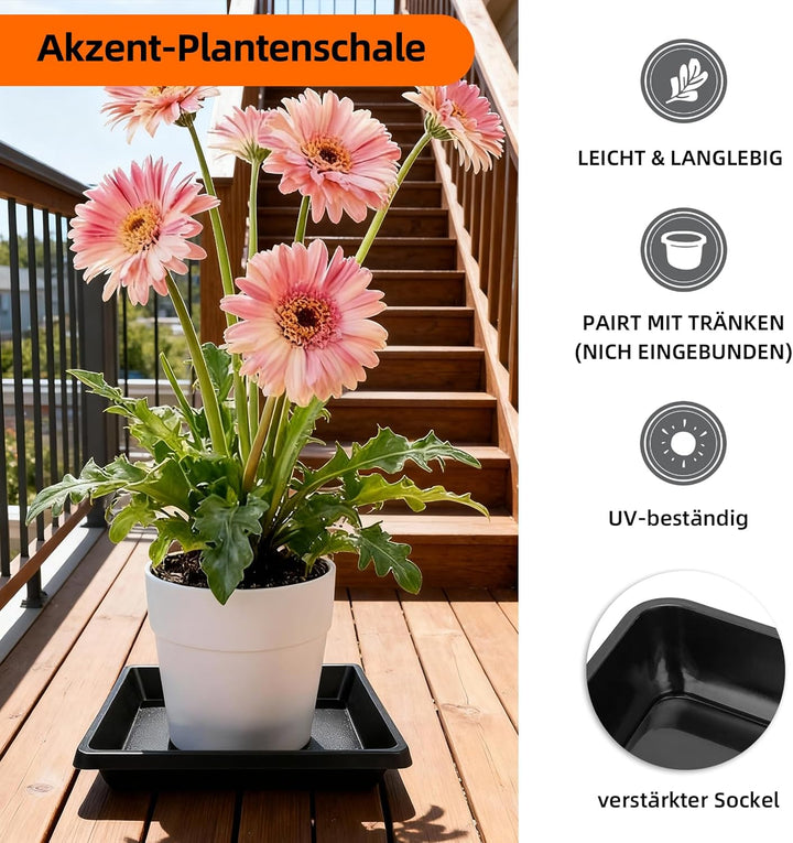 10 Stück Quadratische Pflanzen- Blumentopf-Teller – Keine Löcher, Robuster Kunststoff für Innen-/Aus