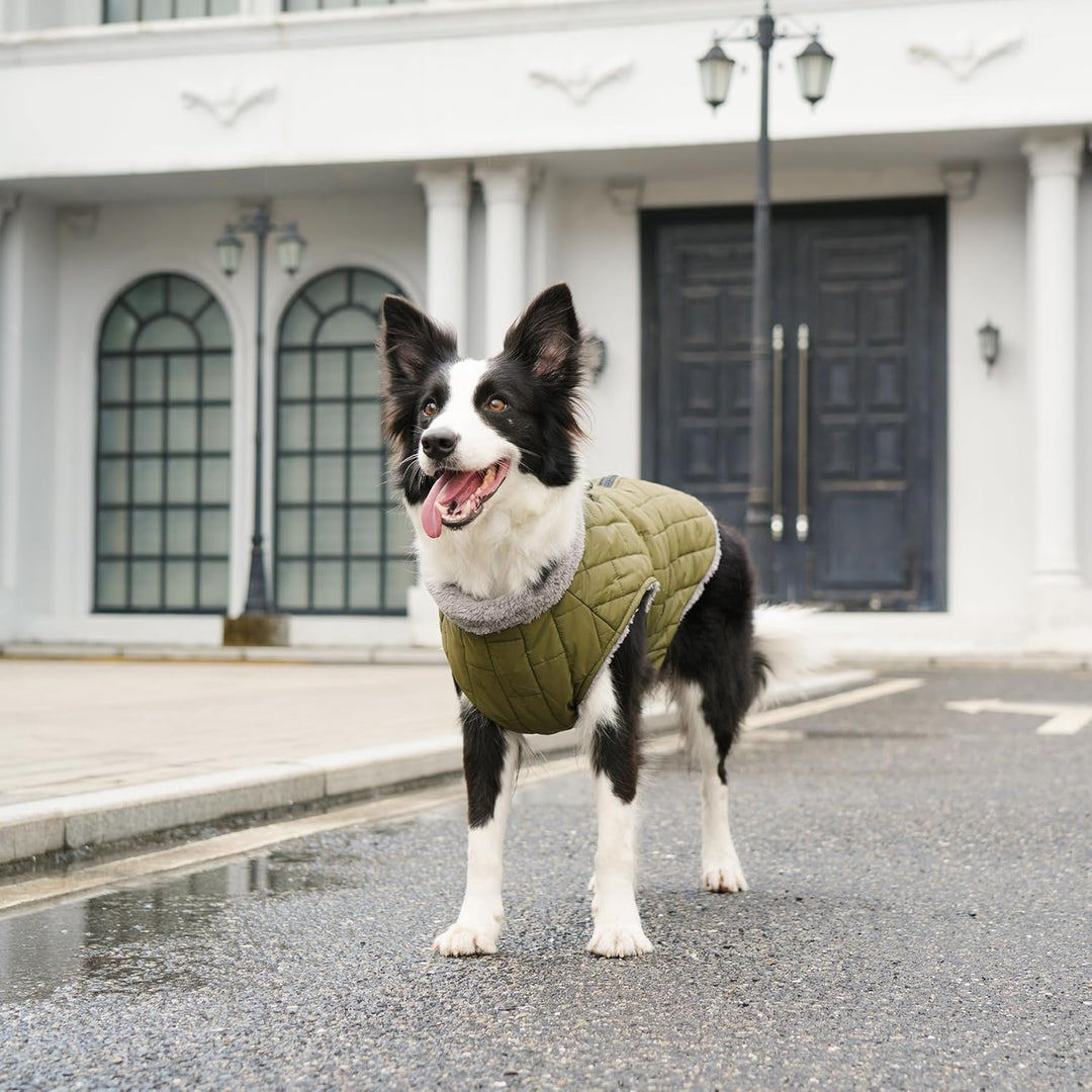 Warmer Fleece-Hundemantel mit strapazierfähigem Geschirr mit D-Ring, wasserdichte Welpenjacke für kl