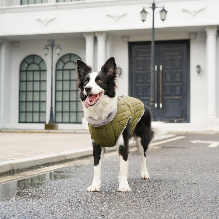 Warmer Fleece-Hundemantel mit strapazierfähigem Geschirr mit D-Ring, wasserdichte Welpenjacke für kl