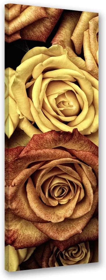 Feeby Wanddeko Rose Leinwandbild Kunstdruck abstrakt Braun 40x100 cm Leinwandbild 40x100 cm Braun_a,