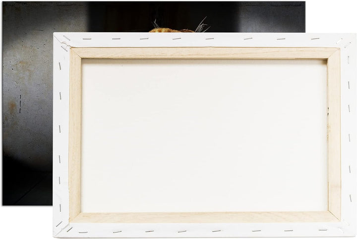 deyoli brüllende Löwin Format: 80x60 als Leinwand, Motiv fertig gerahmt auf Echtholzrahmen, Hochwert
