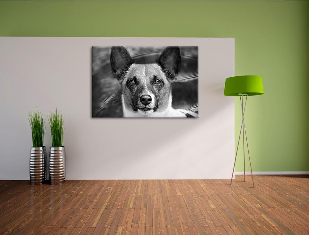 Pixxprint niedlicher Hund im Wasser auf Leinwand, XXL riesige Bilder fertig gerahmt mit Keilrahmen,