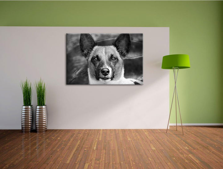 Pixxprint niedlicher Hund im Wasser auf Leinwand, XXL riesige Bilder fertig gerahmt mit Keilrahmen,