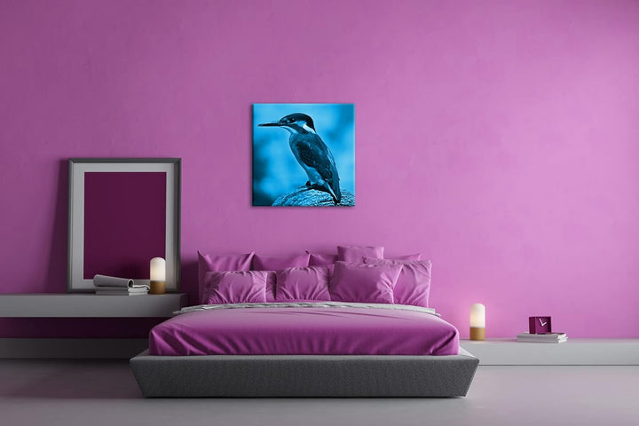 deyoli Eleganter Eisvogel mit blauem Gefieder Format: 70x70 Effekt: Monocrome Blau als Leinwandbild,