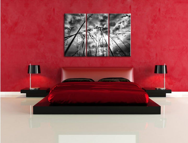 Pixxprint Düsteres Gras vorm Regen als Leinwandbild/Grösse: 3 Teilig (120x80) cm/Wandbild/Kunstdruck