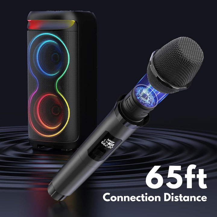 HWWR Karaoke Maschine mit 2 Mikrofones, grosser Tragbaren Bluetooth Karaoke Lautsprecher mit Diaco L