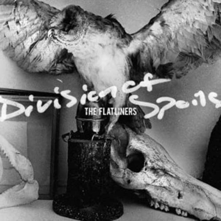 Division of Spoils, Vinyl