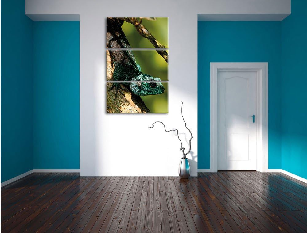Pixxprint Agama auf Baum AST als Leinwandbild/Grösse: 3 Teilig (120x80) cm/Wandbild/Kunstdruck/ferti