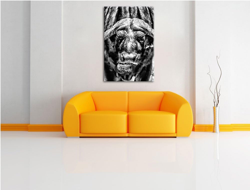 Pixxprint Wasserbüffel Schwarz-Weiss als Leinwandbild/Grösse: 100x70 cm/Wandbild/Kunstdruck/fertig b
