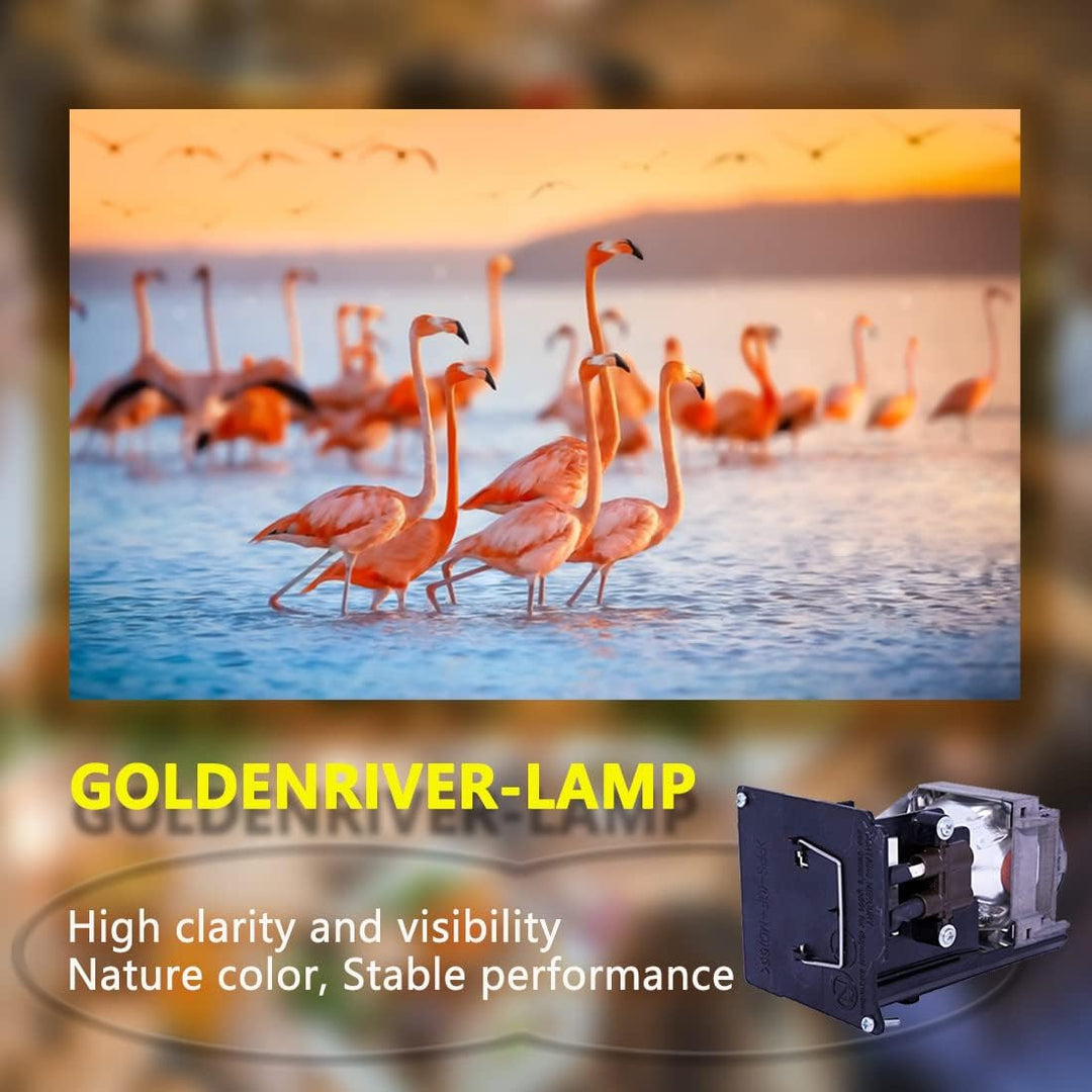 GOLDENRIVER VLT-HC7000LP lampe kompatibel mit Mitsubishi HC7000 HC6500 HC6500U HC7000U, Vlt-hc7000lp