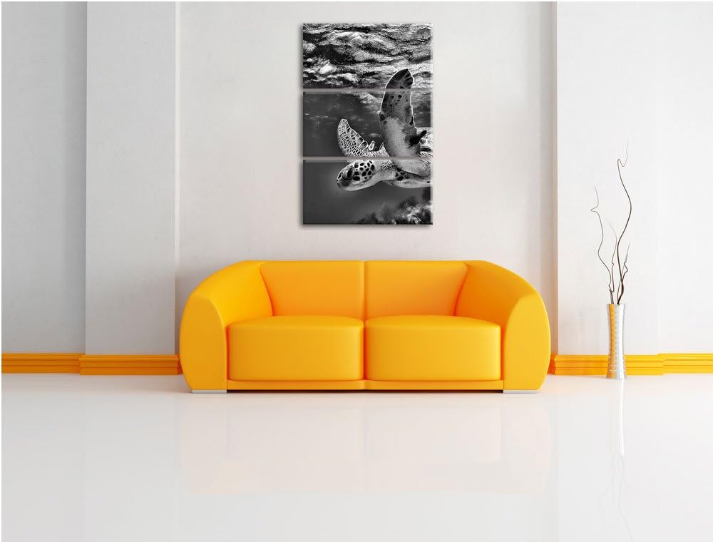 Pixxprint Schildkröte im Riff als Leinwandbild/Grösse: 3 Teilig (120x80) cm/Wandbild/Kunstdruck/fert