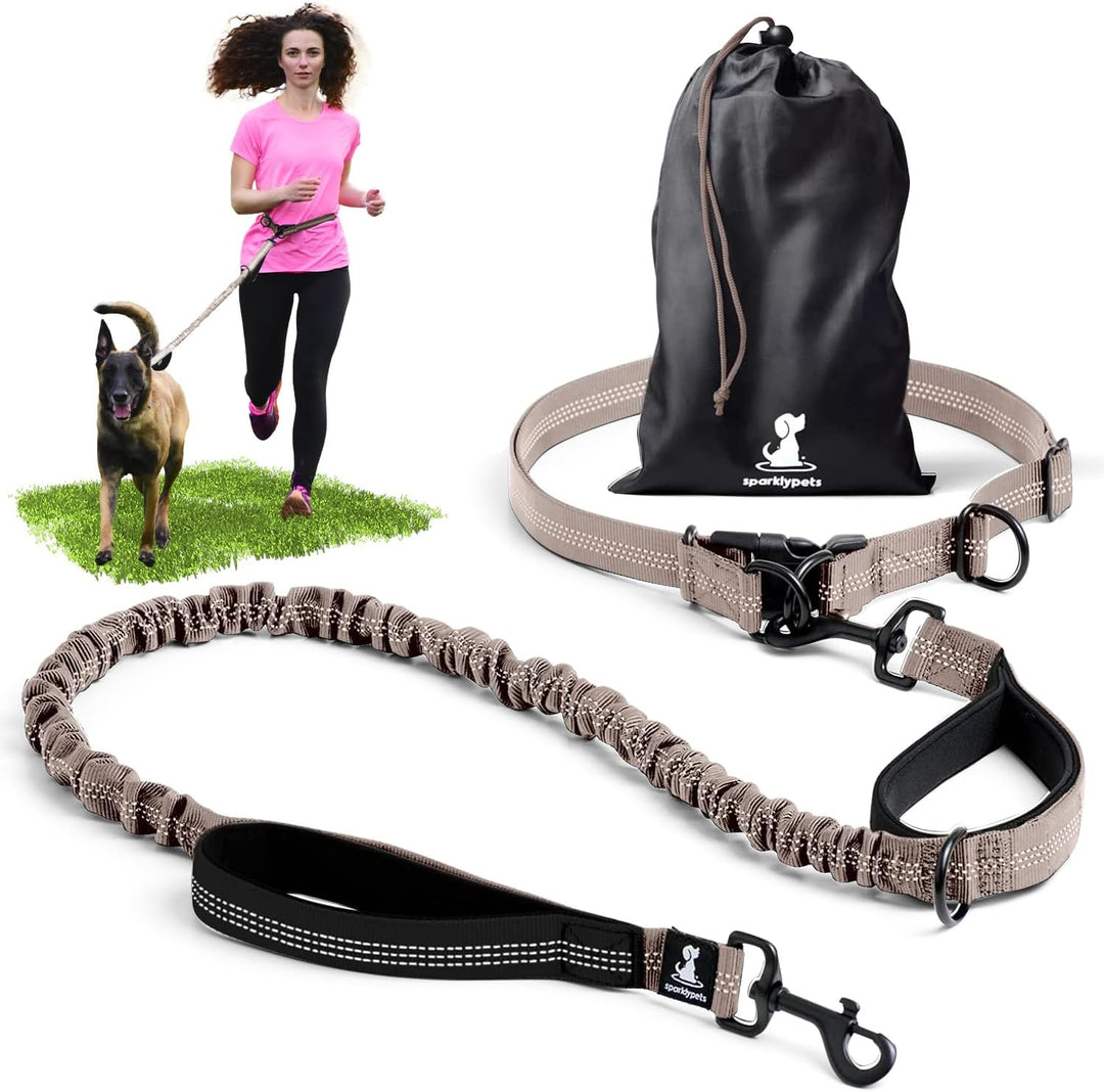 Joggingleine für Hunde zum Laufen, Joggen, Wandern | 2 in 1 Joggingleine und Normale Hundeleine für