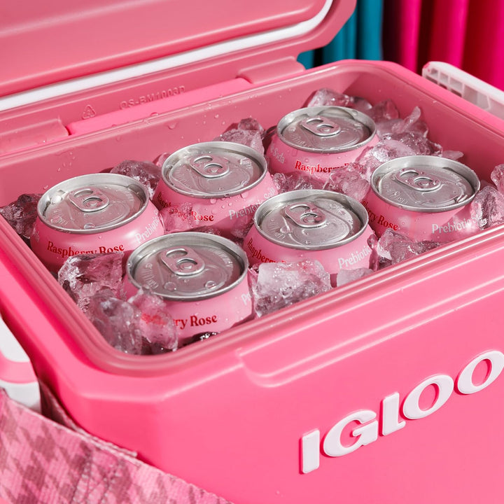 Igloo Tag Along - Passive Kühlbox - MaxCold Isolierung - Für Strand Picknick Remix Rosa, Remix Rosa