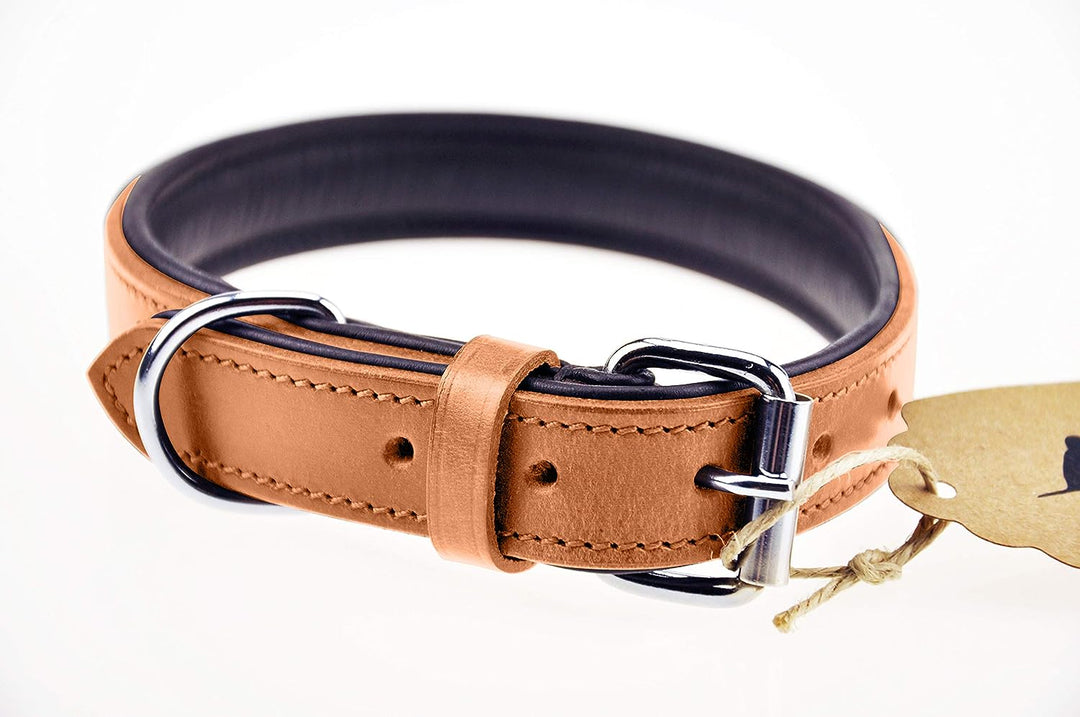 Schnüffelfreunde Halsband für Hunde aus Leder, Hundehalsband für den grossen, mittleren und kleinen
