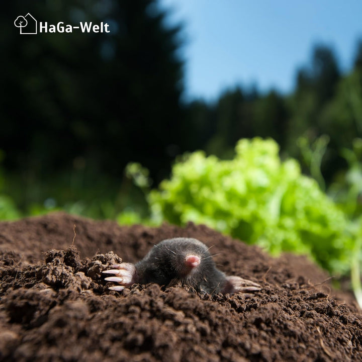 Haga Maulwurfnetz - Maulwurfschutz - gegen Maulwurfshügel - Rasenschutz für den Garten - aus Kunstst