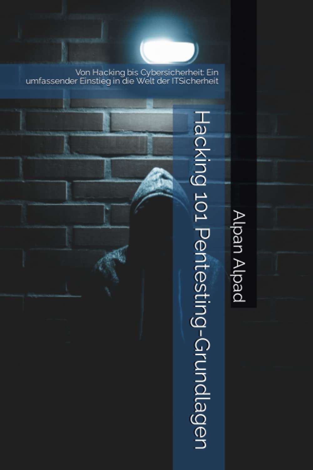 Hacking 101 Pentesting-Grundlagen: Von Hacking bis Cybersicherheit: Ein umfassender Einstieg in die