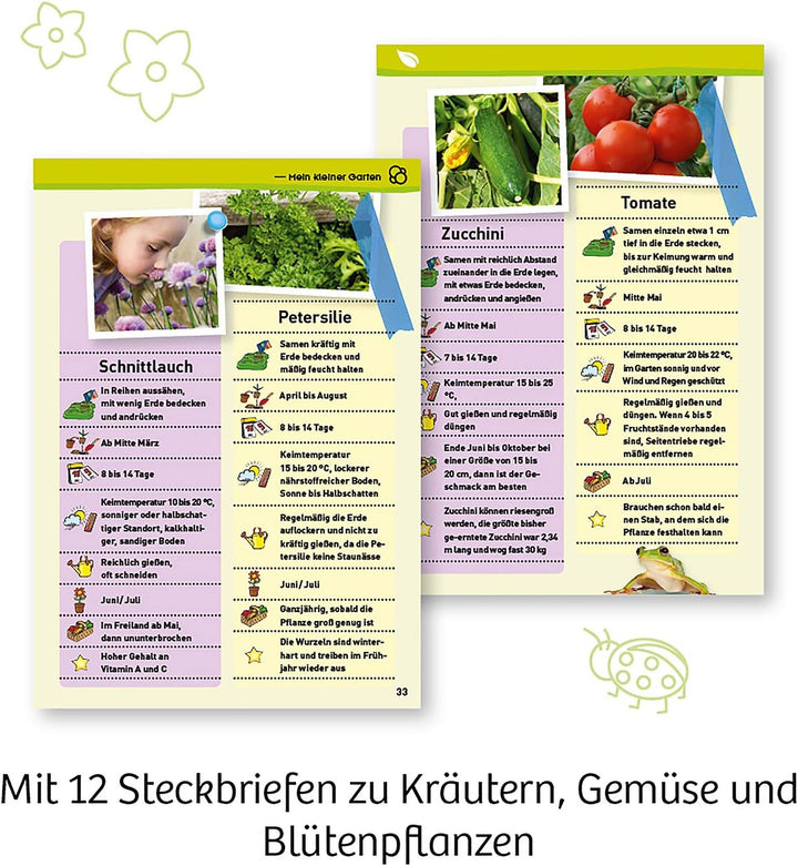 Kosmos 632083 Mein erstes Gewächshaus, Das Original, Erstes Gärtnern für Kinder ab 5 Jahre, Komplett