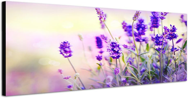 Paul Sinus Art Panoramabild auf Leinwand und Keilrahmen 120x40cm Lavendel Frühling Licht