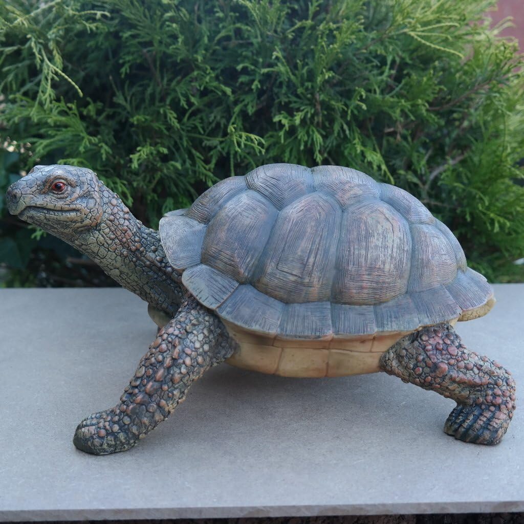 FDSt Dekofigur Schildkröte Tierfigur Gartenfigur wetterfest