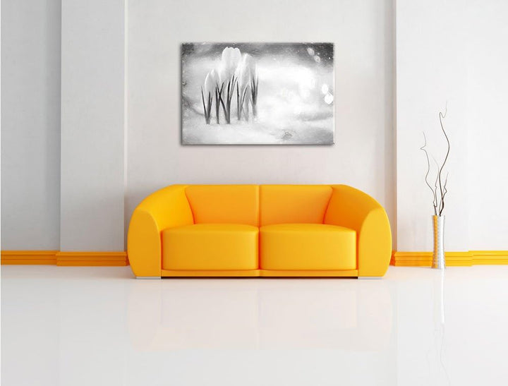 Pixxprint Schneeglöckchen im Frühjahr Kunst Kohle Effekt, Format: 100x70 auf Leinwand, XXL riesige B