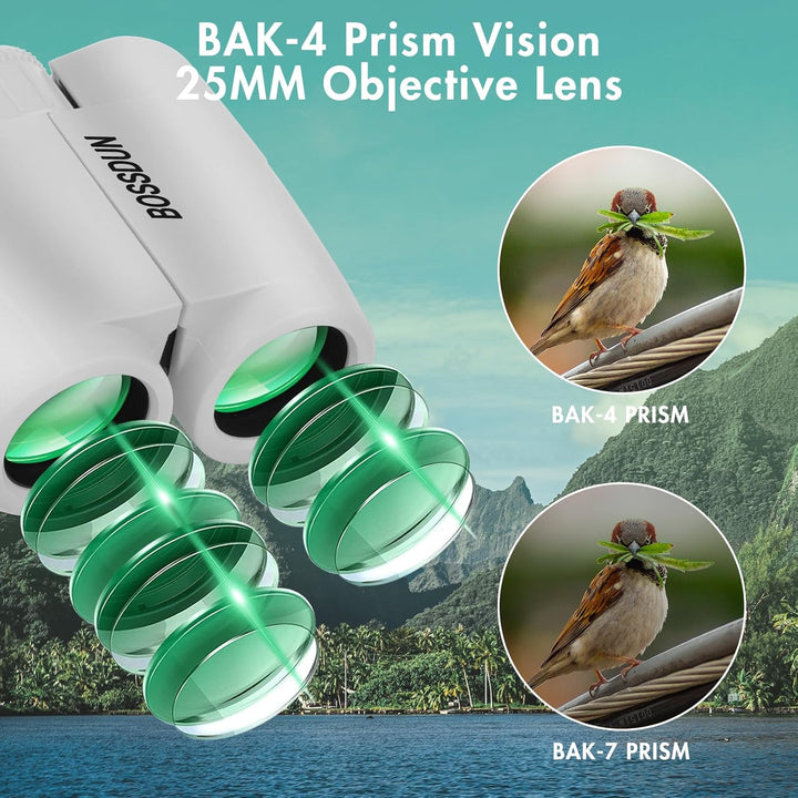 Ferngläser für Erwachsene,10x25 hochleistungsfähiges kompaktes wasserdichtes Fernglas mit klarem BAK