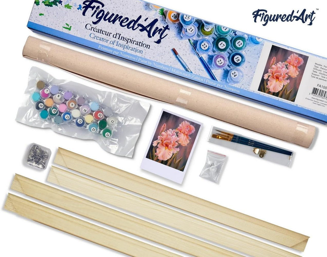 Figured'Art Malen Nach Zahlen Erwachsene Mit Rahmen Iris Blumen - Paint by Numbers Basteln DIY Baste