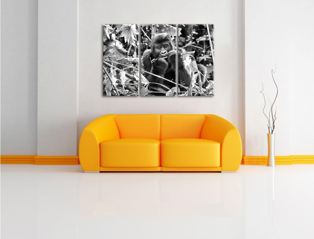 Pixxprint Monocrome, Gorilla beim Fressen 3-Teiler Leinwandbild 120x80 Bild auf Leinwand