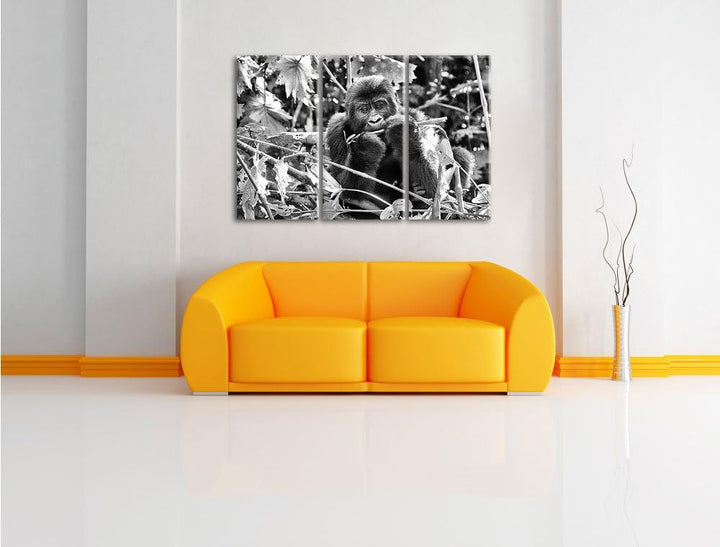 Pixxprint Monocrome, Gorilla beim Fressen 3-Teiler Leinwandbild 120x80 Bild auf Leinwand