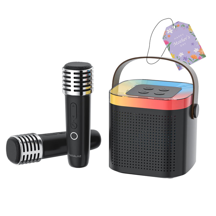 Karaoke-Maschine mit 2 drahtlosen Mikrofonen & Mikrofonbasis, Mini-Bluetooth-Singlautsprecher mit LE
