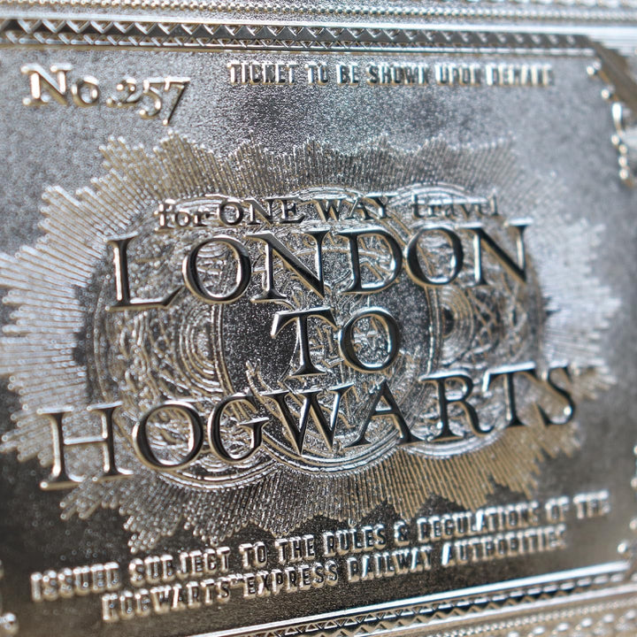 FaNaTtik THG-HP25 Hogwarts-Zug-Ticket, Mehrfarbig