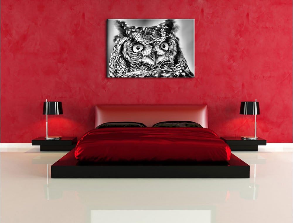 Pixxprint hübsche Waldohreule / 100x70cm Leinwandbild bespannt auf Holzrahmen/Wandbild Kunstdruck De