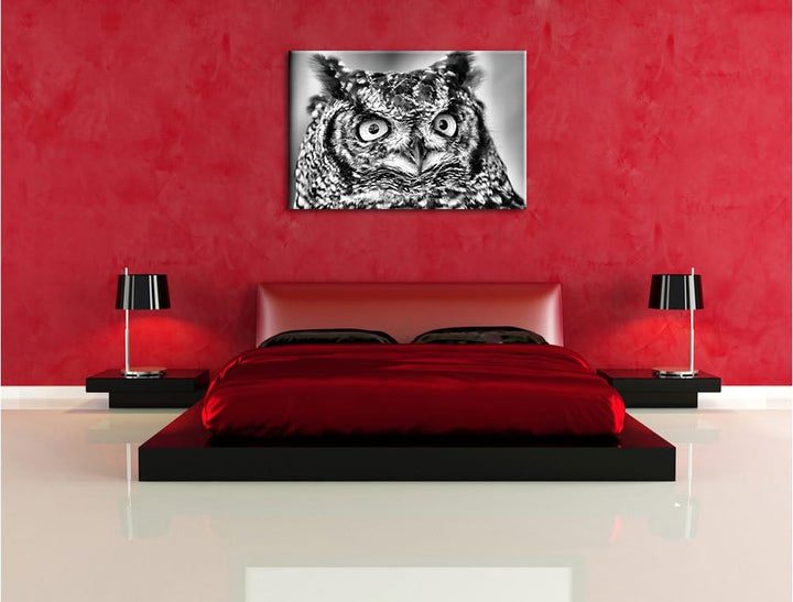 Pixxprint hübsche Waldohreule / 100x70cm Leinwandbild bespannt auf Holzrahmen/Wandbild Kunstdruck De