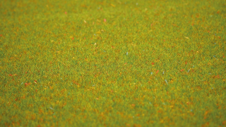 Noch 11 Noch 00011-Grasmatte Blumenwiese, 200 x 100 cm, 14 Jahre to 99 Jahre