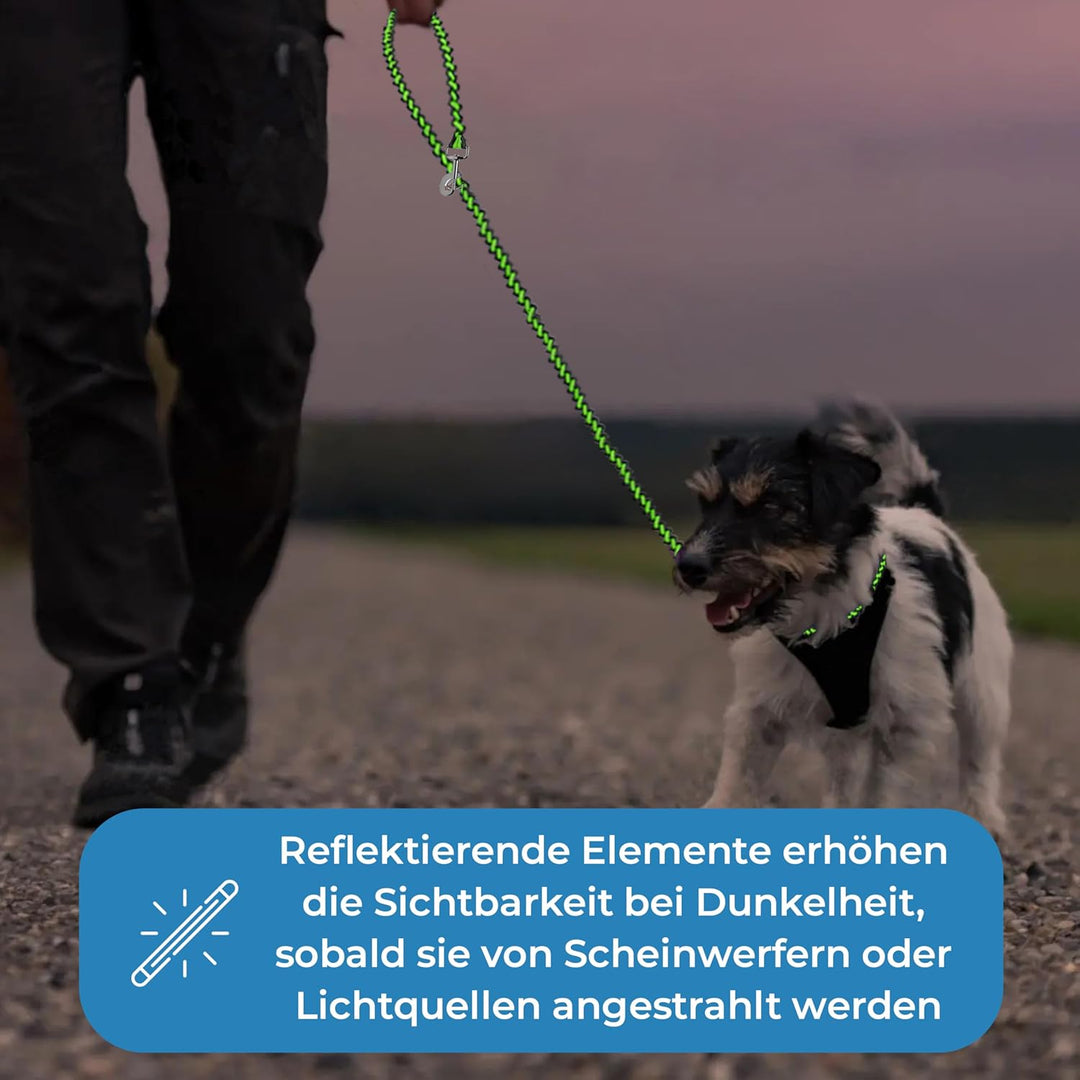 Testnote: Sehr gut - Hundeleine reflektierend I 2m, verstellbar, wetterfest & reissfest bis 250 kg I