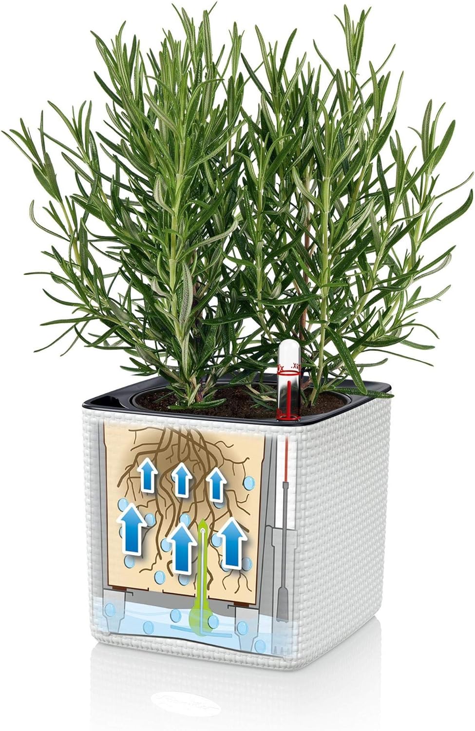 LECHUZA CUBE Color Green Wall Home Kit schiefergrau 13399 48x14x10 cm Schiefergrau, 48x14x10 cm Schi