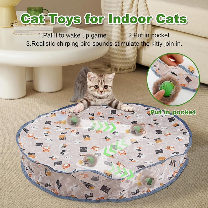 Interactive katzen spielzeug, Katzen Spielteppich, Katzenspielzeug Selbstbeschäftigung Matte Mit Bal